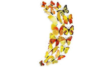Load image into Gallery viewer, 12-Piece Set: 3D Butterfly Magnets - Assorted Colors