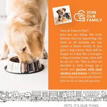 Load image into Gallery viewer, Paws & Pals Wild Alaskan Salmon Oil for Dogs and Cats - 32oz