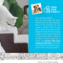 Load image into Gallery viewer, Paws & Pals Padded Pet Stairs