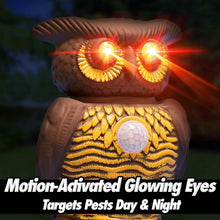 Load image into Gallery viewer, Owl Alert Statue - Targets Outdoor Pests Like Racoons, Deer, Rabbits, Squirrels, Mice and More