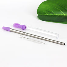 Load image into Gallery viewer, 3-Pack: Expandable Steel Straw