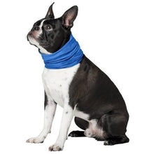 Load image into Gallery viewer, K9 Chill Dog Cooling Collar