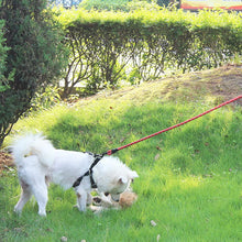 Load image into Gallery viewer, Super Strong Dog Leash with Padded Handle
