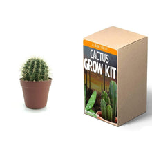 Load image into Gallery viewer, Plant Your Own Garden Grow Kit
