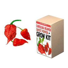 Load image into Gallery viewer, Plant Your Own Garden Grow Kit
