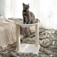 Load image into Gallery viewer, Paws &amp; Pals 3-in-1 Cat Scratching Post with Hammock and Toy
