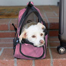 Load image into Gallery viewer, Paws &amp; Pals Airline Approved Soft Sided Pet Carrier
