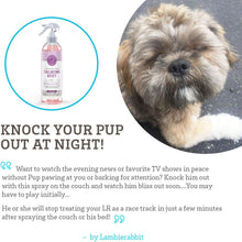 Load image into Gallery viewer, Paws &amp; Pals Pet Natural Calming Spray Cologne or Chews Treat for Dogs and Cats
