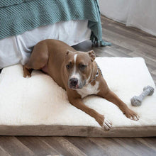 Load image into Gallery viewer, Paws &amp; Pals Orthopedic Pet Bed Foam-Mattress for Dogs and Cats
