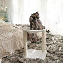 Load image into Gallery viewer, Paws &amp; Pals 3-in-1 Cat Scratching Post with Hammock and Toy
