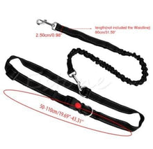Load image into Gallery viewer, Hands Free Running Bungee Dog Leash - Assorted Colors
