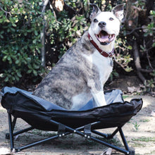 Load image into Gallery viewer, Elevated Camping Pet Bed Medium
